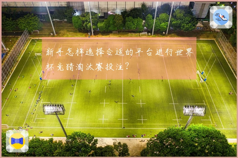 新手怎样选择合适的平台进行世界杯竞猜淘汰赛投注？