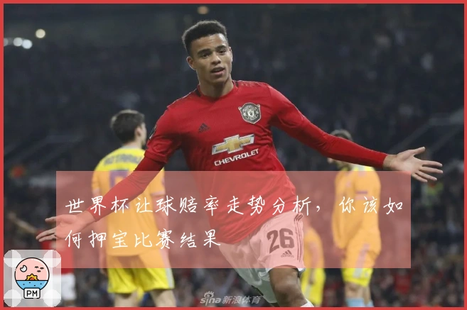 世界杯让球赔率走势分析，你该如何押宝比赛结果