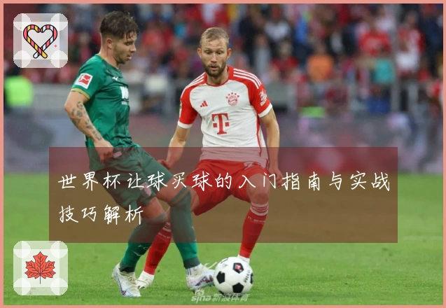 世界杯让球买球的入门指南与实战技巧解析