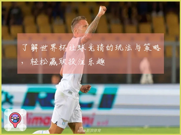 了解世界杯让球竞猜的玩法与策略，轻松赢取投注乐趣