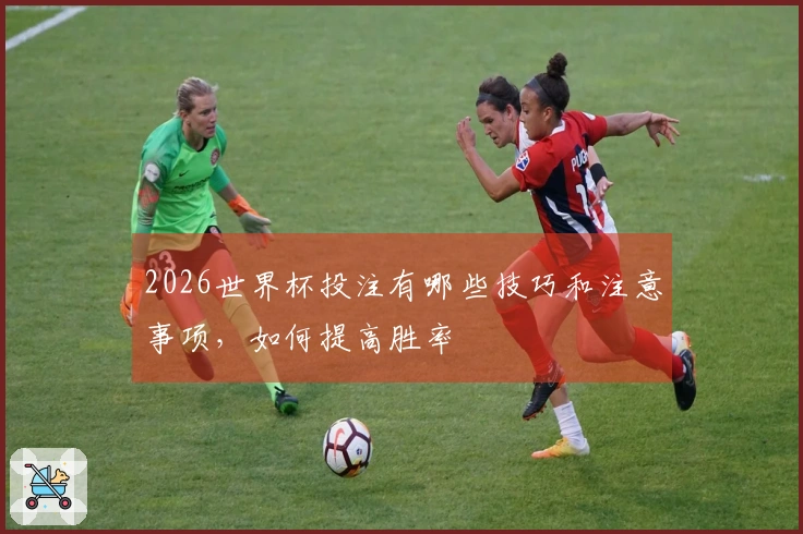 2026世界杯投注有哪些技巧和注意事项，如何提高胜率