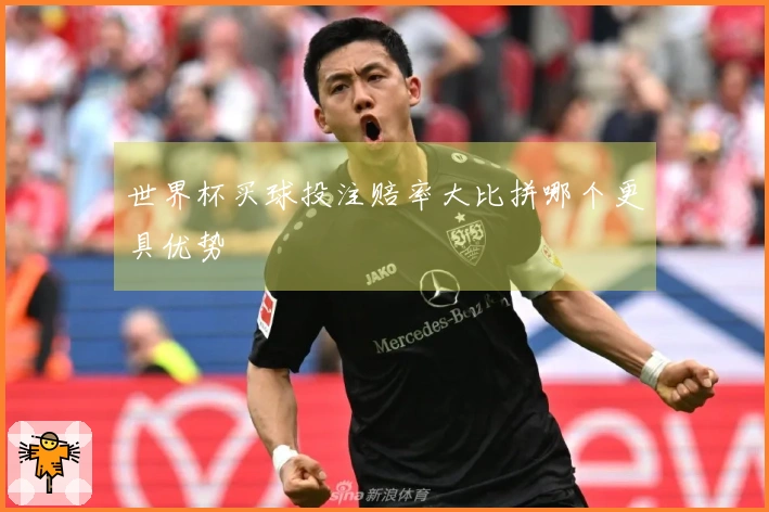 世界杯买球投注赔率大比拼哪个更具优势