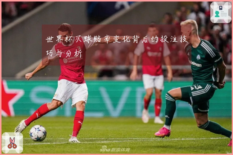 世界杯买球赔率变化背后的投注技巧与分析