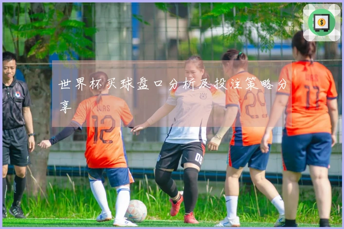 世界杯买球盘口分析及投注策略分享