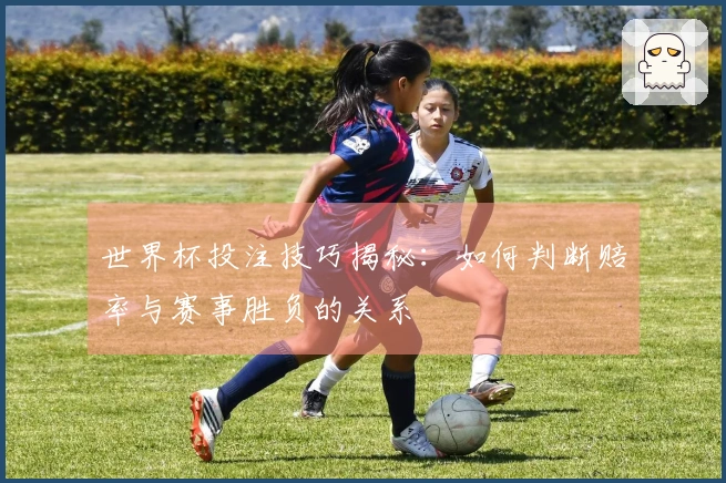 世界杯投注技巧揭秘：如何判断赔率与赛事胜负的关系