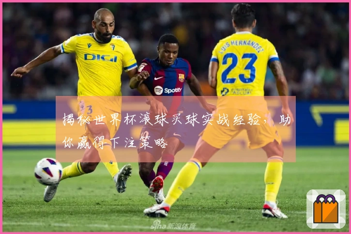 揭秘世界杯滚球买球实战经验，助你赢得下注策略