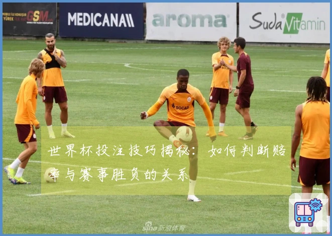世界杯投注技巧揭秘：如何判断赔率与赛事胜负的关系