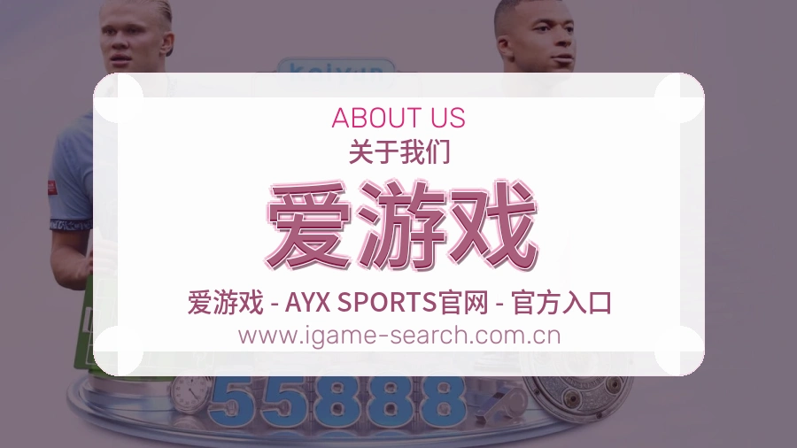关于 爱游戏